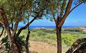 Appartamento Panoramico Isola Rossa